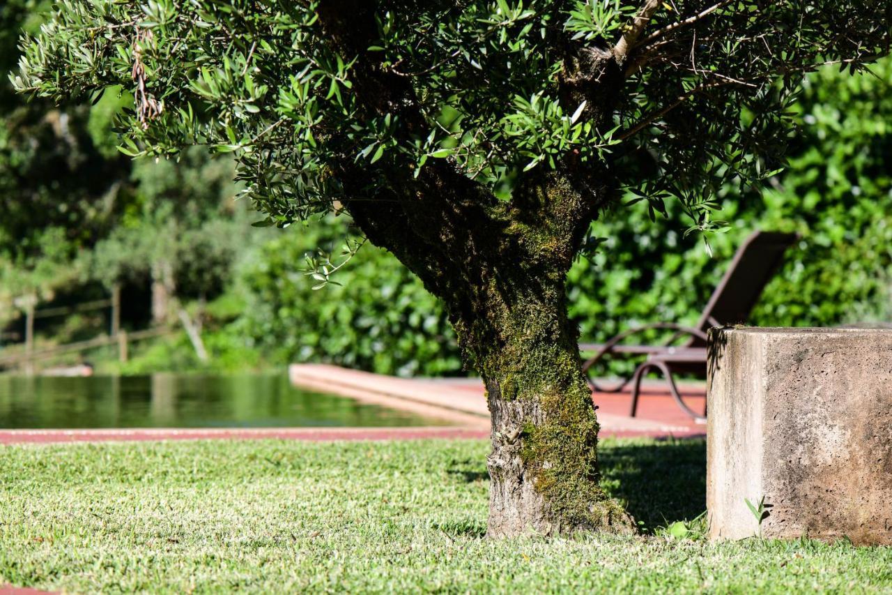 Vale Do Ninho Nature Houses Ferraria de São João Buitenkant foto